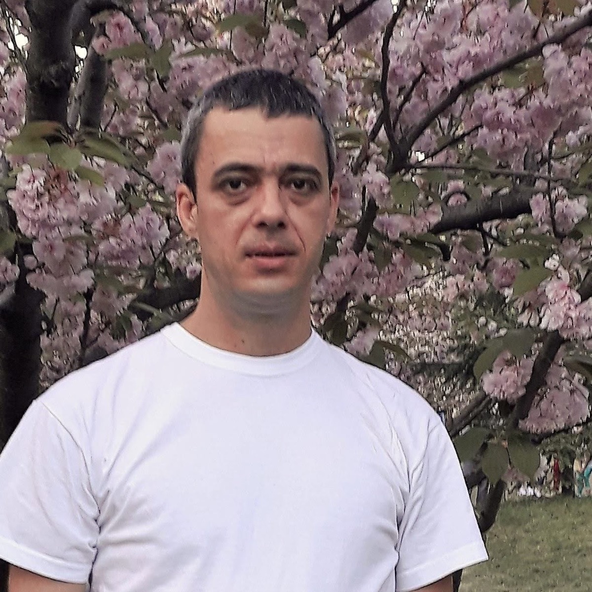 Daniel Niculae, terapeut Yumeiho gradul 3